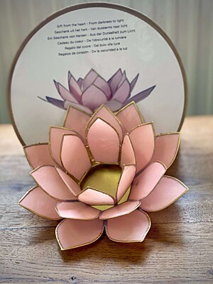 Svietnik lotos Ružový NEFERTITIS